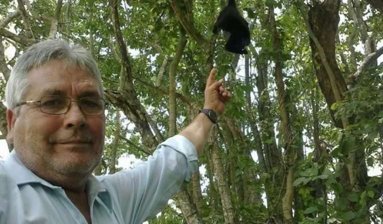 Asesinan a balazos al ambientalista José Luis Álvarez Flores, defensor del mono saraguato, en México Asesinan a balazos al ambientalista José Luis Álvarez Flores, defensor del mono saraguato, en México