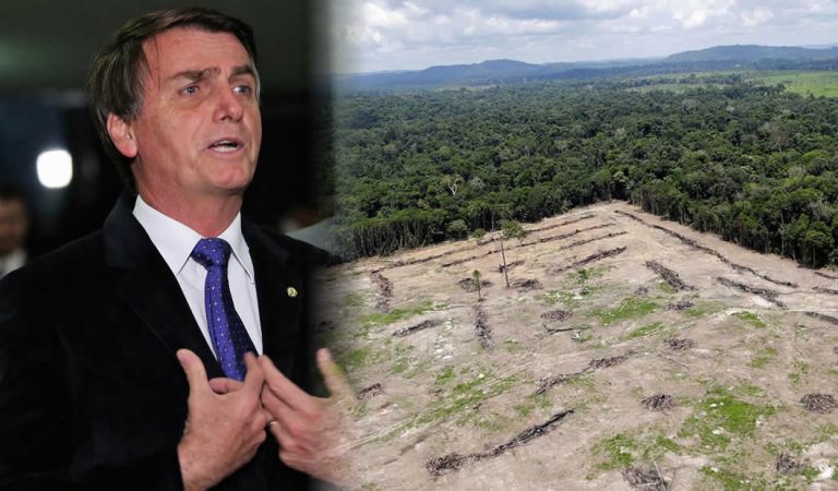 Bolsonaro anuncia explotación de la Amazonía en conjunto con Japón Bolsonaro anuncia explotación de la Amazonía en conjunto con Japón