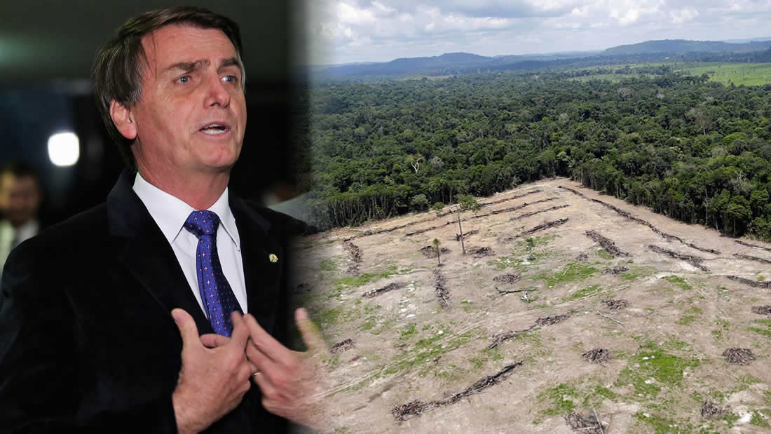 Bolsonaro anuncia explotación de la Amazonía en conjunto con Japón