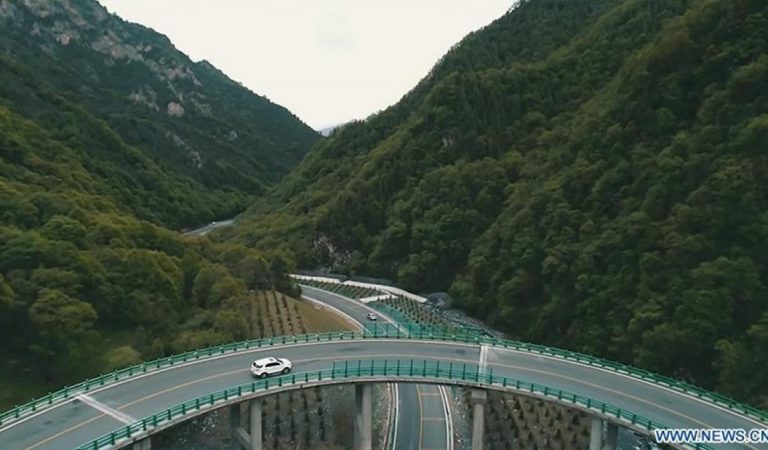 China construye una carretera en el bosque sin cortar un árbol China construye una carretera en el bosque sin cortar un árbol