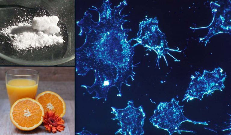 Cuatro curas o tratamientos contra el cáncer que la élite podría estar ocultando o suprimiendo Cuatro curas o tratamientos contra el cáncer que la élite podría estar ocultando o suprimiendo