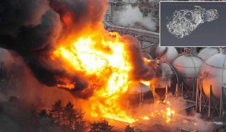 Detectan material del reactor nuclear de Fukushima en el medio ambiente Detectan material del reactor nuclear de Fukushima en el medio ambiente