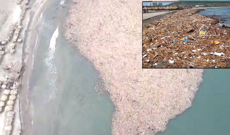 Isla de basura se forma en Colombia contaminando el Atlántico Isla de basura se forma en Colombia contaminando el Atlántico