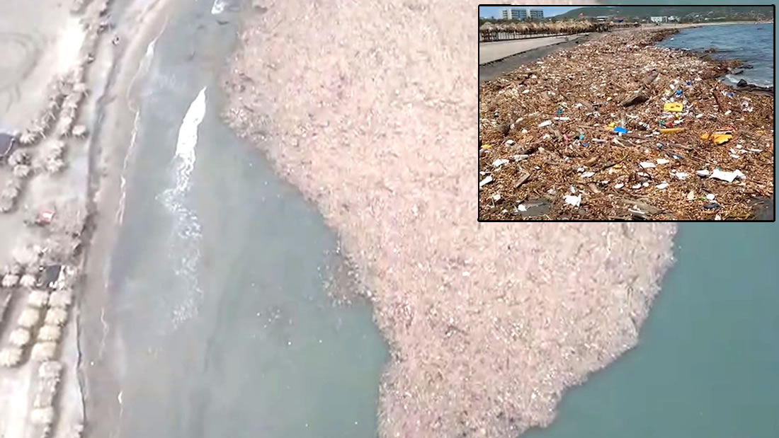 Isla de basura se forma en Colombia contaminando el Atlántico