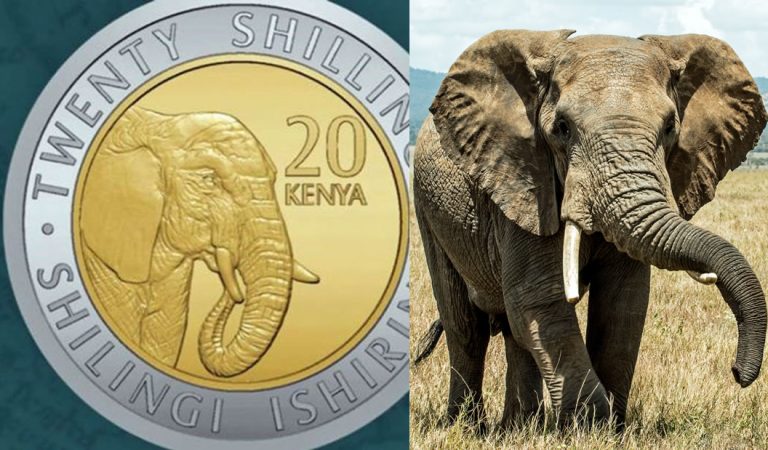Kenia modifica sus monedas, quitan a presidentes y colocan a animales Kenia modifica sus monedas, quitan a presidentes y colocan a animales