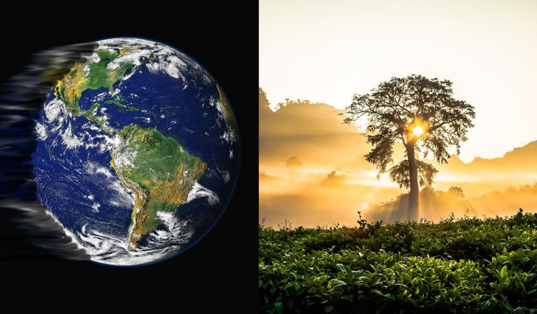 La atmósfera está tan contaminada que ni plantar árboles ayudará, sugiere una investigación La atmósfera está tan contaminada que ni plantar árboles ayudará, sugiere una investigación