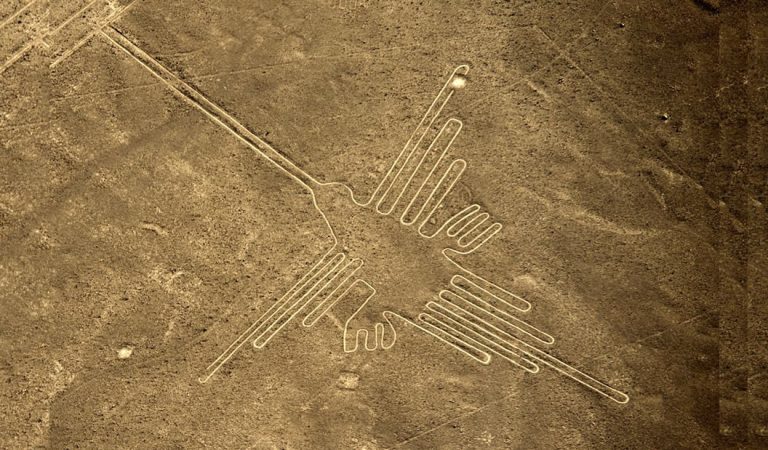 Misteriosas aves en las Líneas de Nazca no son lo que se creía Misteriosas aves en las Líneas de Nazca no son lo que se creía