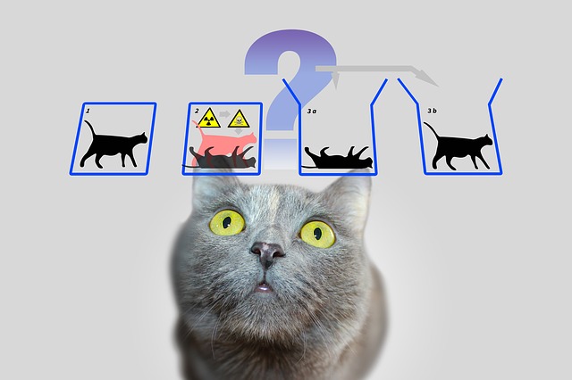 Hay una manera de salvar al gato de Schrödinger, afirman físicos
