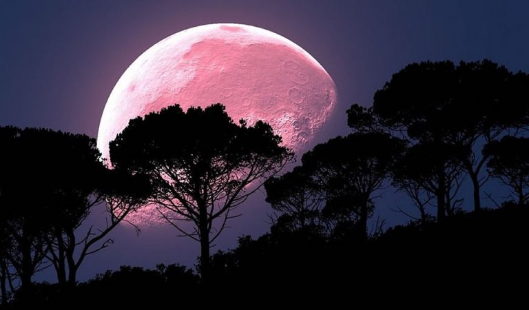 Una Luna Llena de Fresa iluminará los cielos este 17 de junio Una Luna Llena de Fresa iluminará los cielos este 17 de junio