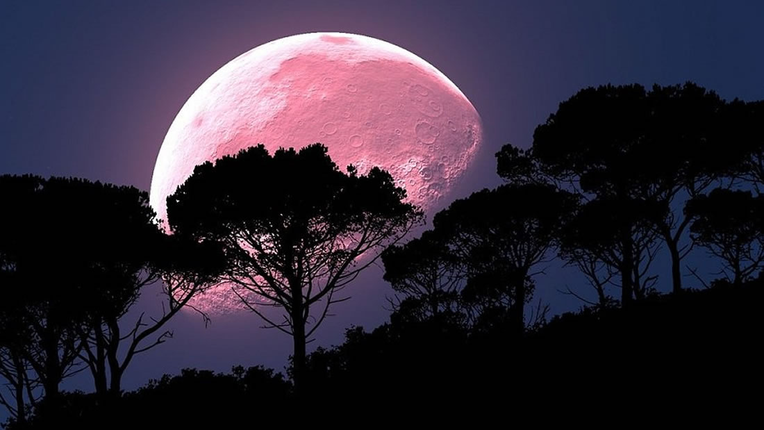 Una Luna Llena de Fresa iluminará los cielos este 17 de junio