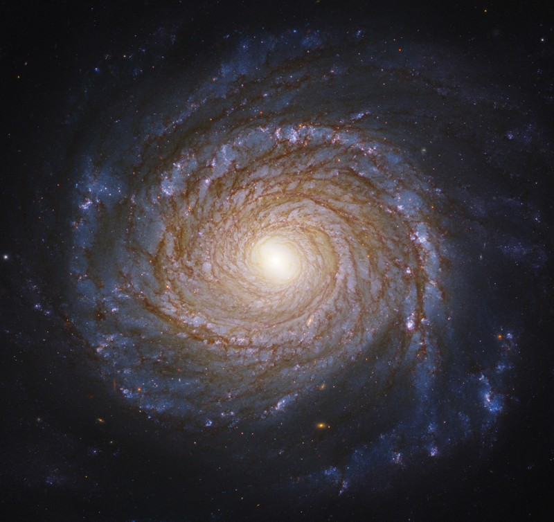 Una nueva fotografía del NGC 3147 de Hubble
