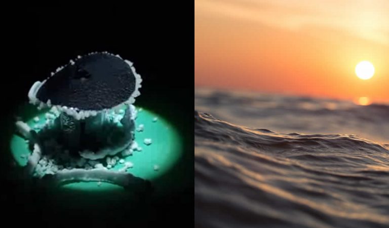 Crean dispositivo que elimina casi el 100% de la sal del agua de mar usando energía solar Crean dispositivo que elimina casi el 100% de la sal del agua de mar usando energía solar