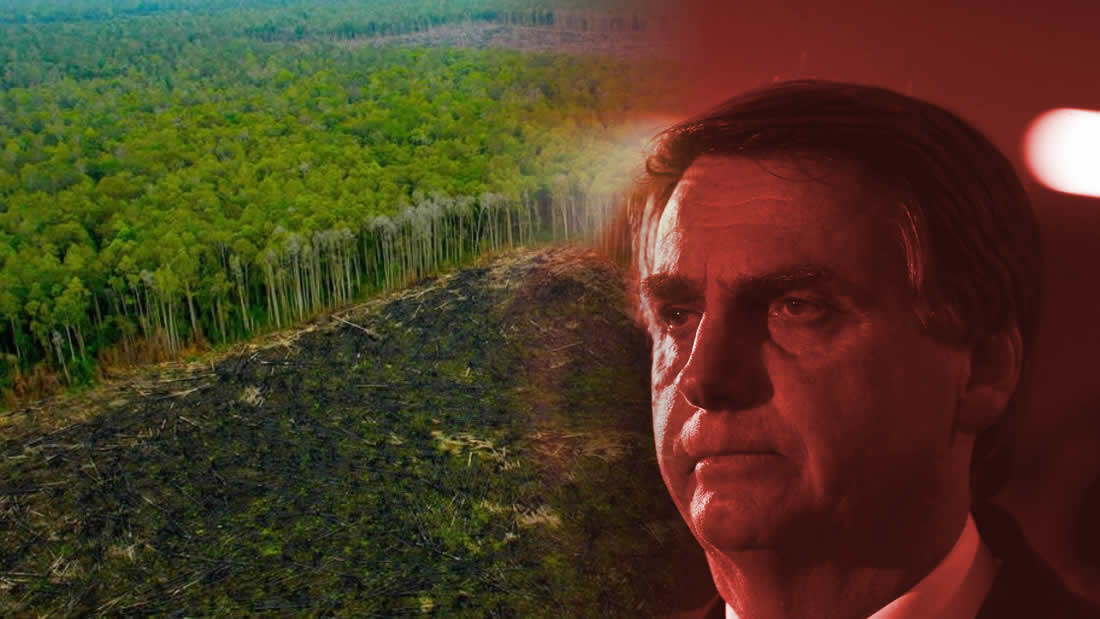 Deforestación ilegal en Brasil está llevando a la selva amazónica a un punto de inflexión, advierte experto