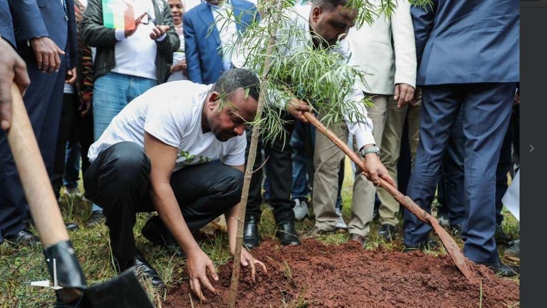 Etiopía planta 353 millones de árboles en un día para ayudar a enfrentar la crisis climática