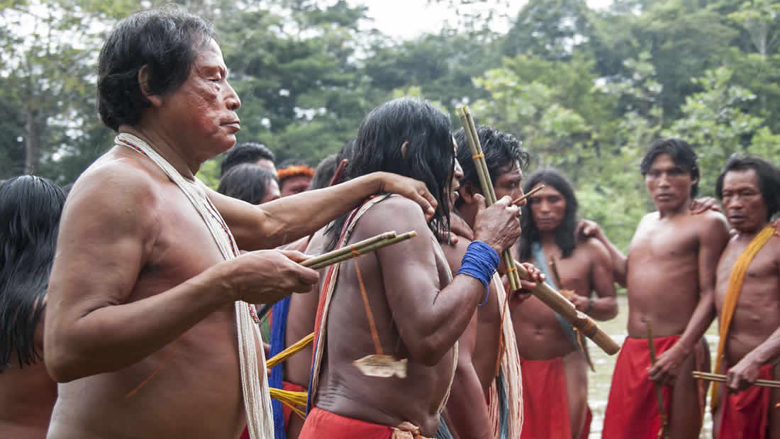 Mineros de oro de la Amazonía asesinan a lider indígena e invaden sus tierras en Brasil