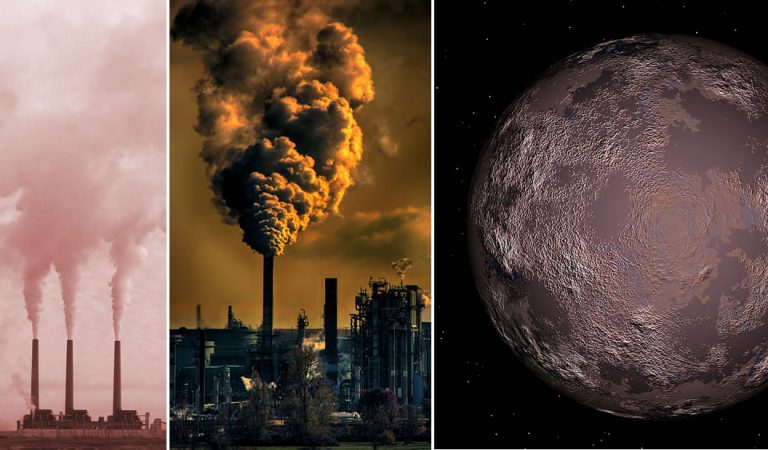 Romper el «umbral del CO2» traerá la sexta extinción masiva en la Tierra, dice científico del MIT Romper el «umbral del CO2» traerá la sexta extinción masiva en la Tierra, dice científico del MIT