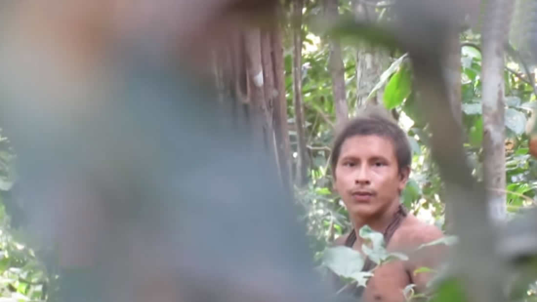 Vídeo de tribu no contactada en la Amazonía destaca la deforestación en Brasil