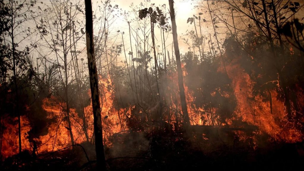 Incendio en la Amazonía