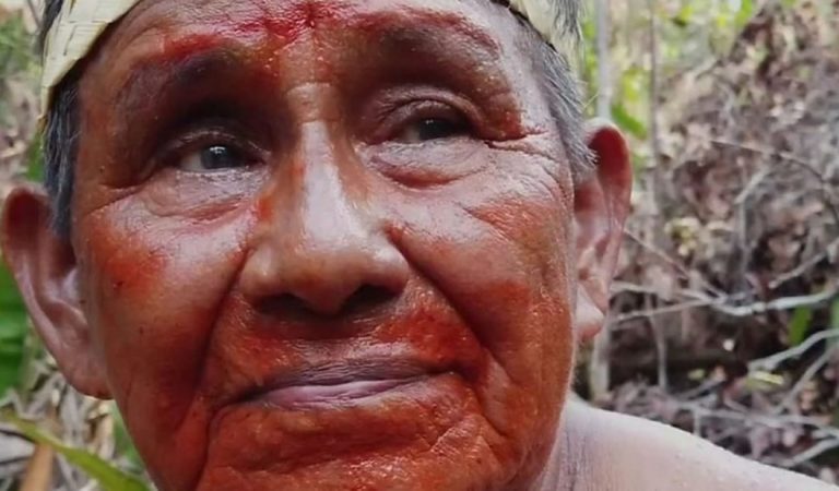 Comunidad indígena: «Daremos hasta la última gota de sangre por la Amazonía» Comunidad indígena: «Daremos hasta la última gota de sangre por la Amazonía»