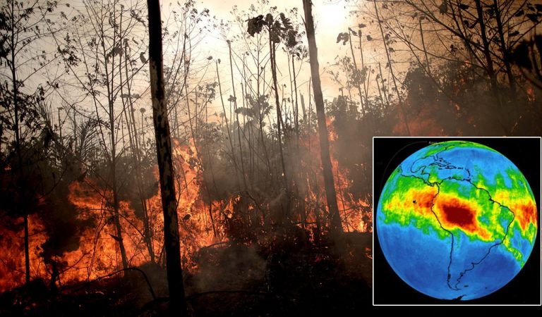 Consecuencias ocultas de los incendios de la Amazonía han sido reveladas por satélites Consecuencias ocultas de los incendios de la Amazonía han sido reveladas por satélites