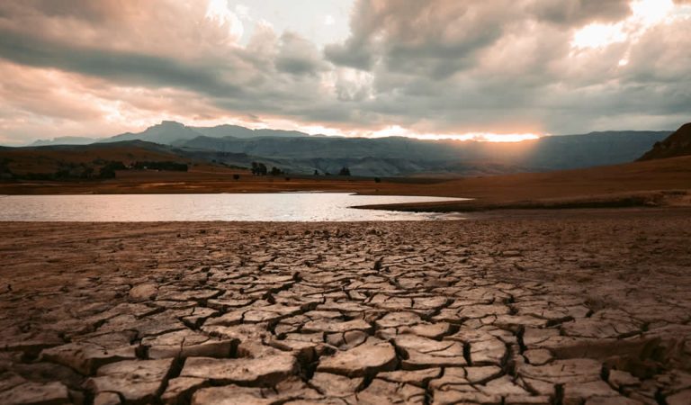 El 25 por ciento de la población mundial enfrenta una crisis de agua El 25 por ciento de la población mundial enfrenta una crisis de agua