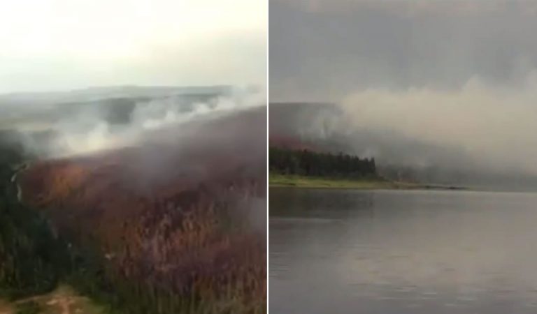 Incendios arrasan tres millones de hectáreas en Siberia Incendios arrasan tres millones de hectáreas en Siberia