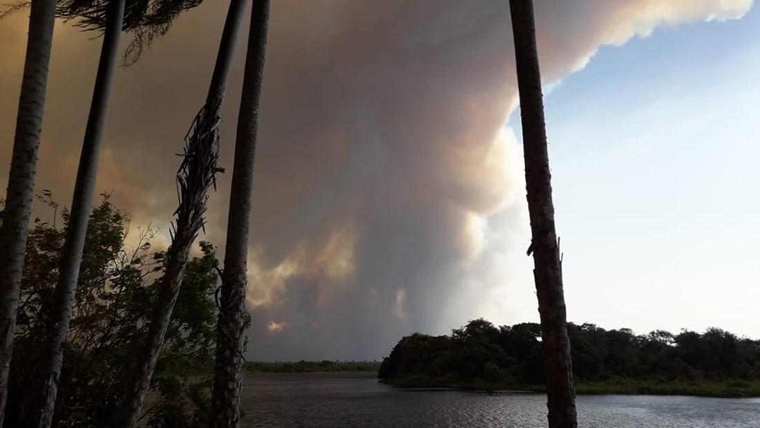 Incendios en Paraguay: 37.000 hectáreas de bosque devastadas por el fuego