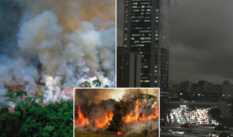 La Amazonía está en llamas, Sao Paulo se vuelve de noche por el humo y el gobierno de Brasil continúa apoyando la deforestación La Amazonía está en llamas, Sao Paulo se vuelve de noche por el humo y el gobierno de Brasil continúa apoyando la deforestación