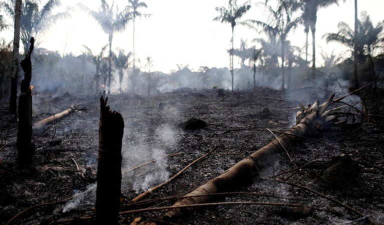 Lo peor de los incendios en la Amazonía de Brasil aún está por venir, dice experto Lo peor de los incendios en la Amazonía de Brasil aún está por venir, dice experto