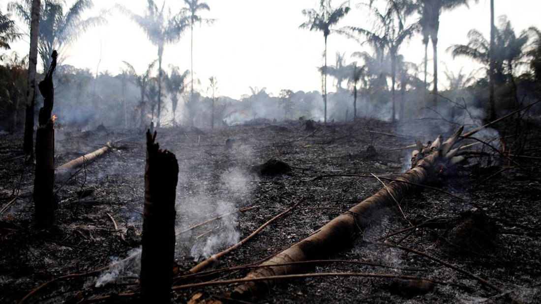 Lo peor de los incendios en la Amazonía de Brasil aún está por venir, dice experto