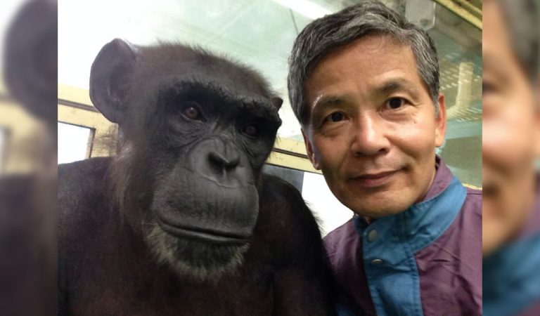 Los humanos no somos los seres más inteligentes del planeta Los humanos no somos los seres más inteligentes del planeta