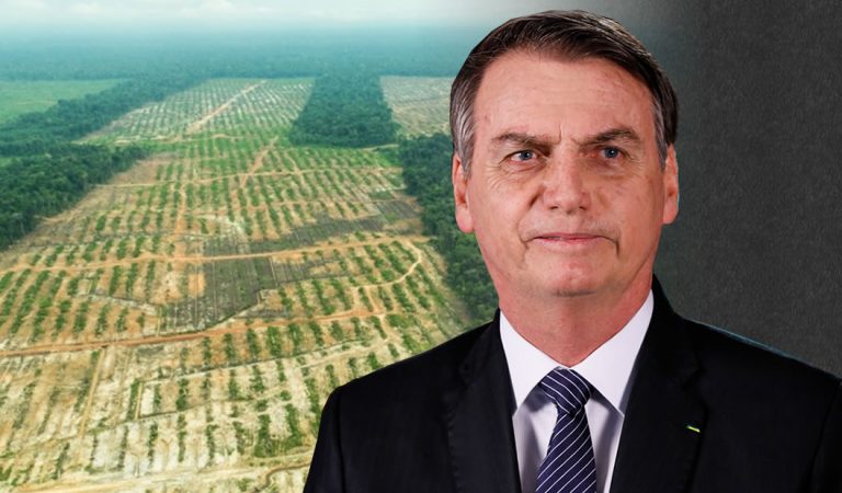 Noruega bloquea ayuda a Brasil por no detener la deforestación de la Amazonía Noruega bloquea ayuda a Brasil por no detener la deforestación de la Amazonía