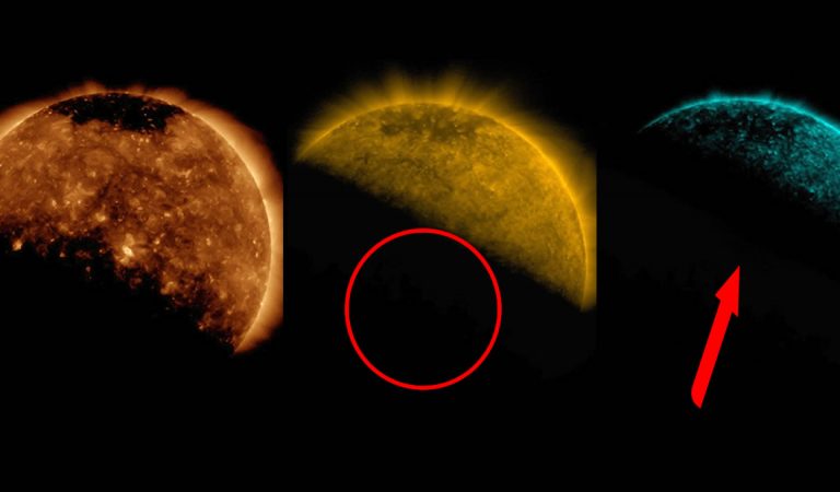 Vídeo muestra que «algo enorme» bloqueó al Sol Vídeo muestra que «algo enorme» bloqueó al Sol