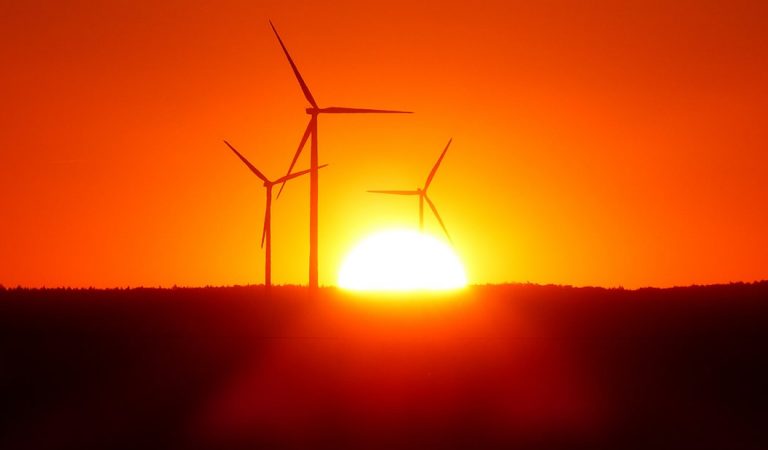 Canberra, capital de Australia, utilizará 100 % energías renovables desde enero de 2020 Canberra, capital de Australia, utilizará 100 % energías renovables desde enero de 2020