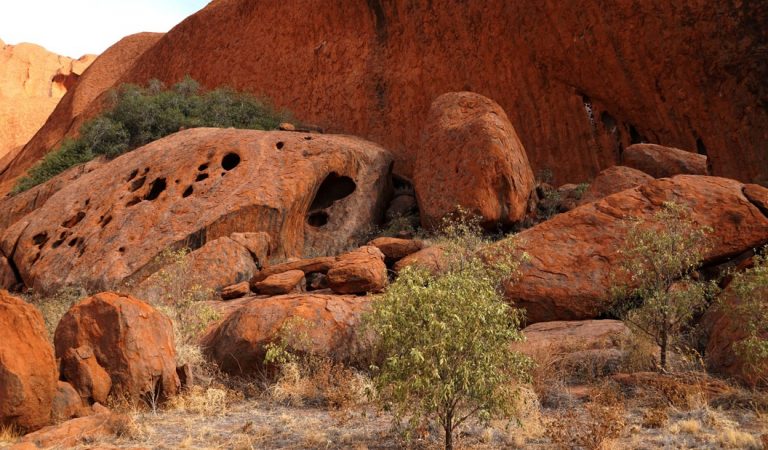 Confirman que la Tierra poseía organismos vivos hace 3.5 mil millones de años Confirman que la Tierra poseía organismos vivos hace 3.5 mil millones de años