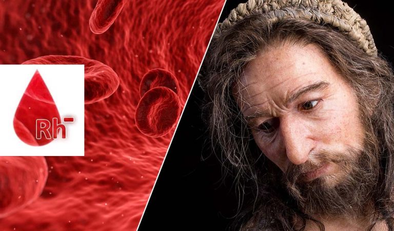 El misterio del Rh Negativo: ¿indicio de una «hibridación» humana en el pasado? El misterio del Rh Negativo: ¿indicio de una «hibridación» humana en el pasado?