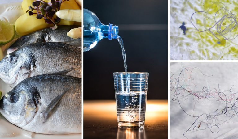 El plástico está infectándonos: consumimos más de 73.000 piezas de microplásticos por año, revela un estudio El plástico está infectándonos: consumimos más de 73.000 piezas de microplásticos por año, revela un estudio