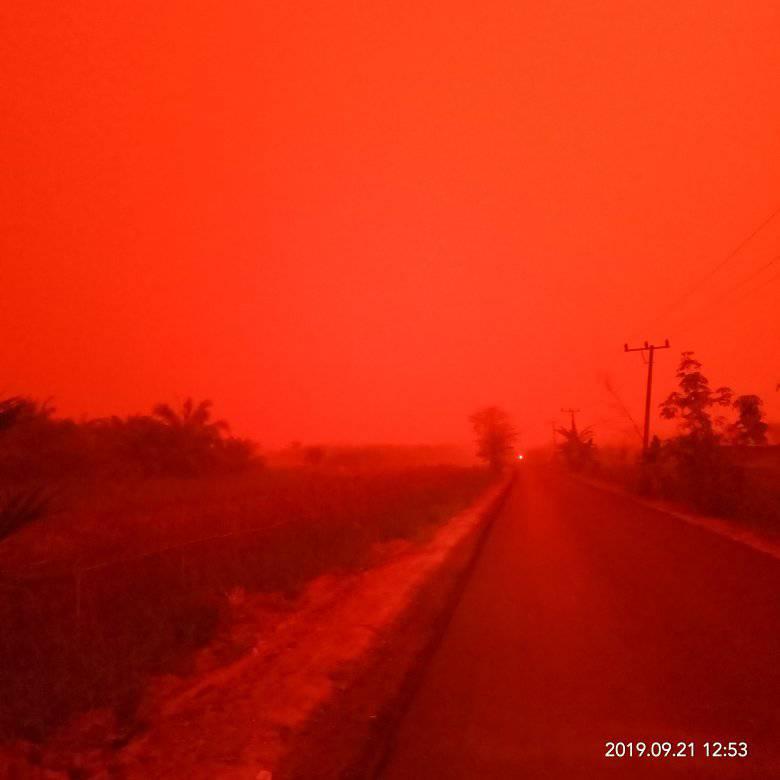Incendios forestales convierten los cielos de Indonesia en un «rojo infernal»