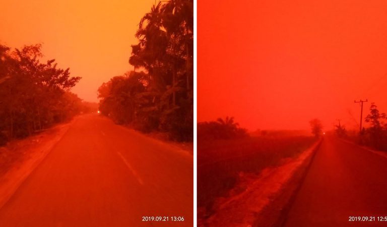 Incendios forestales convierten los cielos de Indonesia en un «rojo infernal» Incendios forestales convierten los cielos de Indonesia en un «rojo infernal»