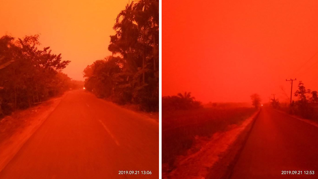 Incendios forestales convierten los cielos de Indonesia en un «rojo infernal»