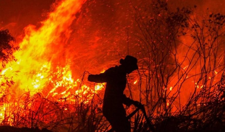 Incendios forestales en Indonesia a punto de causar una catástrofe medioambiental Incendios forestales en Indonesia a punto de causar una catástrofe medioambiental