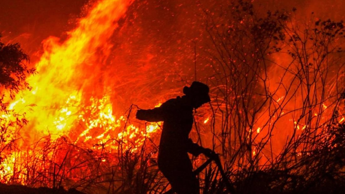 Incendios forestales en Indonesia a punto de causar una catástrofe medioambiental