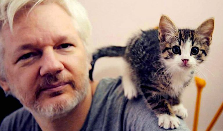 Julian Assange: el origen del «Guerrero Cyberpunk» Julian Assange: el origen del «Guerrero Cyberpunk»