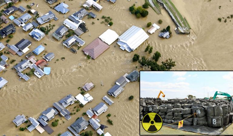 Casi 3.000 bolsas con desechos radioactivos de Fukushima fueron lanzadas por el tifón Hagibis Casi 3.000 bolsas con desechos radioactivos de Fukushima fueron lanzadas por el tifón Hagibis