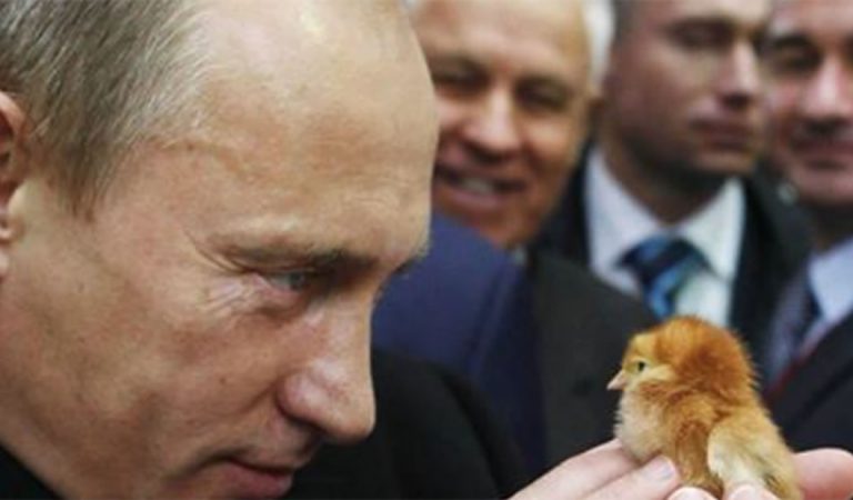 De acuerdo a Putin: occidentales estarían siendo controlados con alimentos genéticamente modificados De acuerdo a Putin: occidentales estarían siendo controlados con alimentos genéticamente modificados