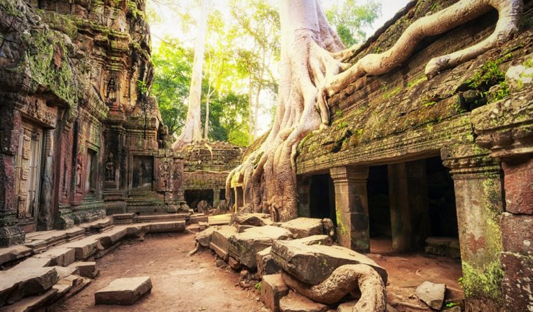 Descubren una antigua ciudad perdida en lo profundo de la selva de Camboya Descubren una antigua ciudad perdida en lo profundo de la selva de Camboya