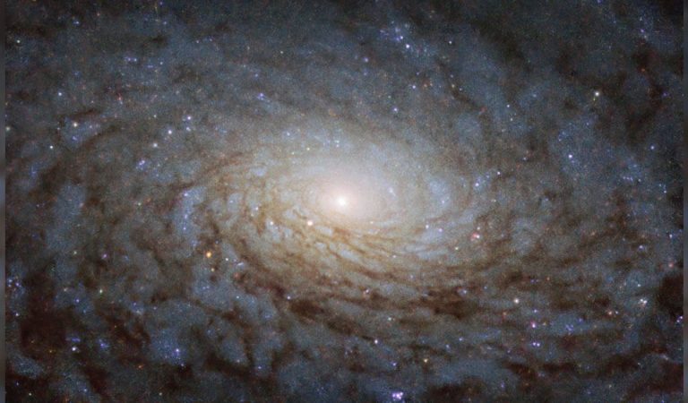 Esta es la galaxia NGC 4380 y gira como un «portal a otra dimensión» Esta es la galaxia NGC 4380 y gira como un «portal a otra dimensión»