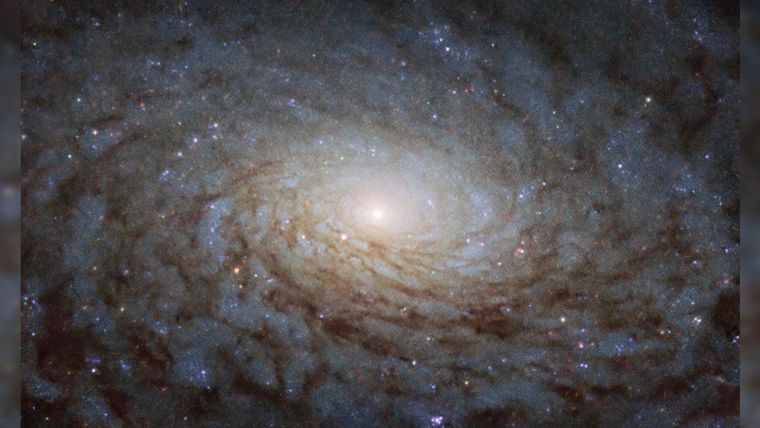 Esta es la galaxia NGC 4380 y gira como un «portal a otra dimensión»