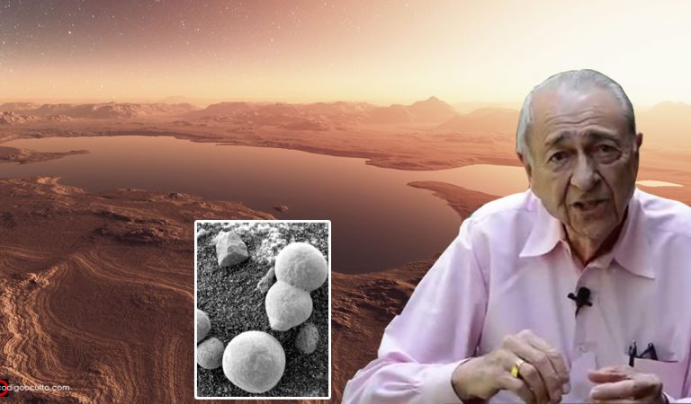 Estoy convencido de que ya encontramos vida en Marte, dice ex científico de la NASA Estoy convencido de que ya encontramos vida en Marte, dice ex científico de la NASA
