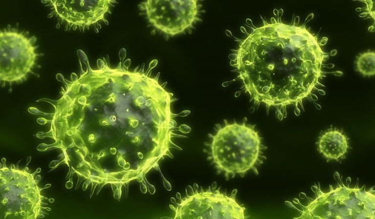 Hallan un raro virus que representa un sistema completamente nuevo de evolución Hallan un raro virus que representa un sistema completamente nuevo de evolución
